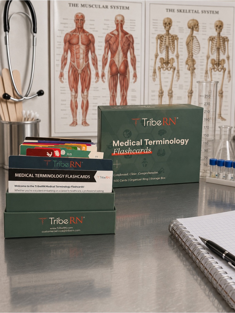 Tribe RN/ Medical terminology flash cards